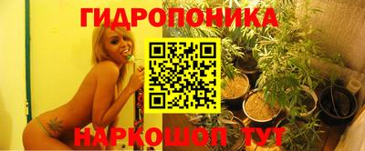 МДПВ Можга